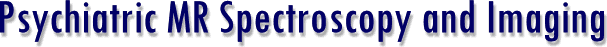 pmrsi.gif (5947 bytes)