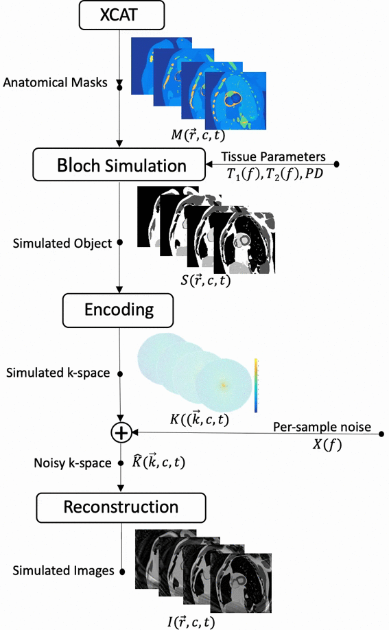 Bssfp Signal Simulation FIGURE 2 – Visual comparison of experiment and simulated short-axis ...