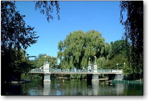 Boston's Public Garden