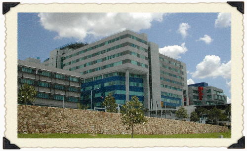royal-brisbane-and-women-s-hospital