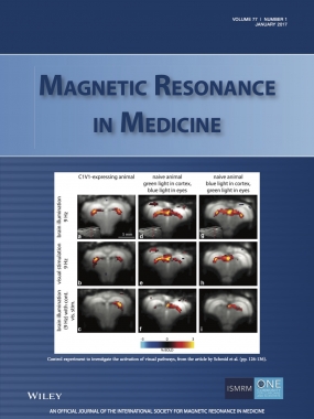 Schmid_et_al-2017-Magnetic_Resonance_in_Medicine