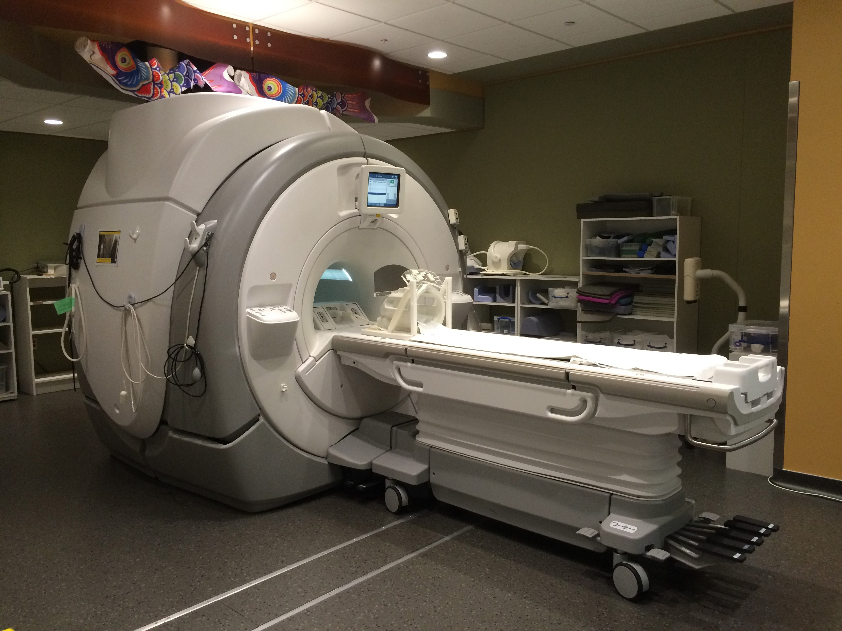ACPSEM position paper: the safety of magnetic resonance imaging